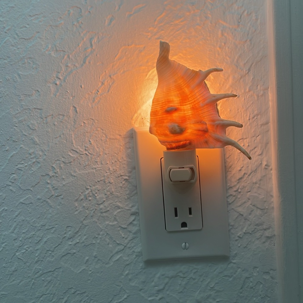 Shell night light purchased at the Dana Point Harbor gift shop New condition